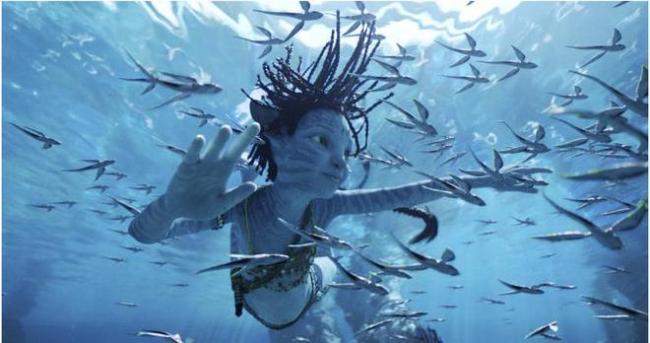 《阿凡达：水之道》上映7日 内地票房破五亿