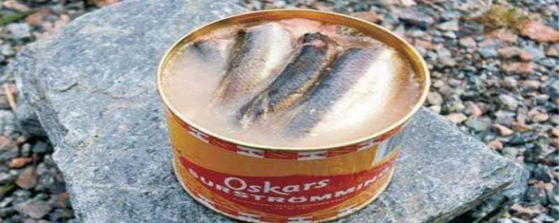 鲱鱼罐头那么臭为什么还有人吃，鲱鱼罐头的正确吃法