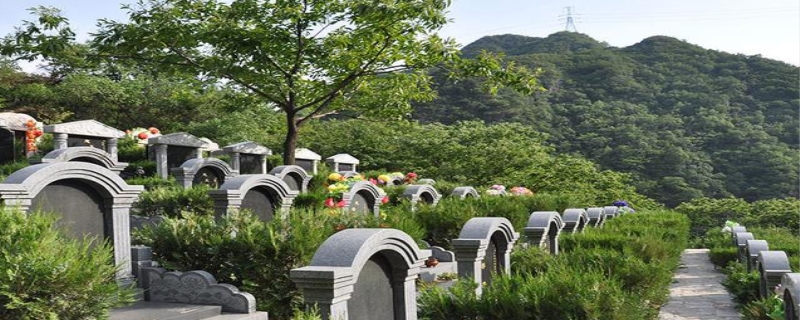 公墓中最好的位置 公墓使用年限