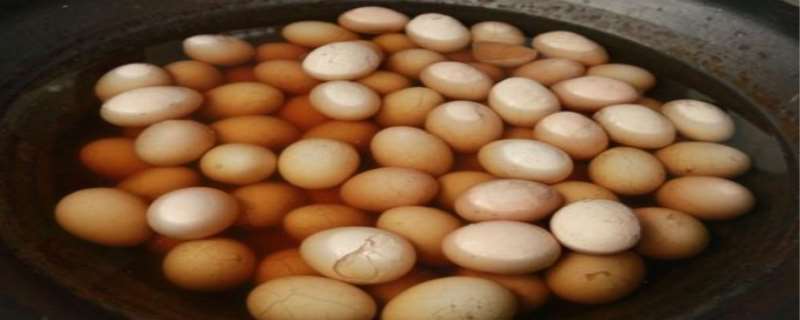 童子尿煮鸡蛋是哪里的风俗，童子尿煮鸡蛋吃的有什么好处