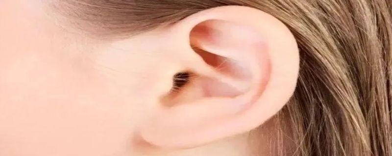 耳垂厚的人有福气吗 耳垂厚的人打耳洞破坏福气吗