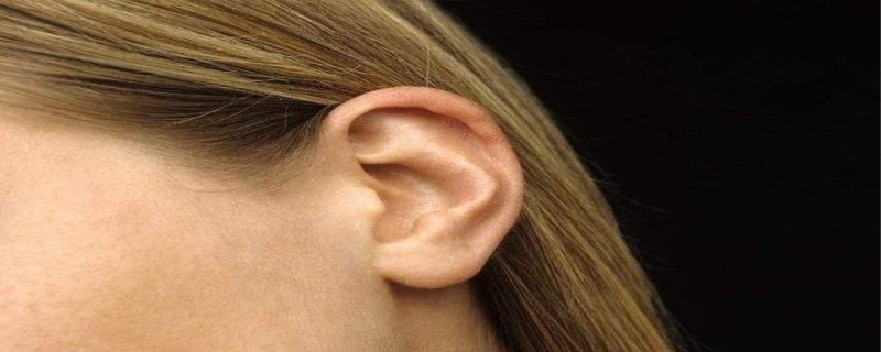 耳垂厚的人有福气吗 耳垂厚的人打耳洞破坏福气吗