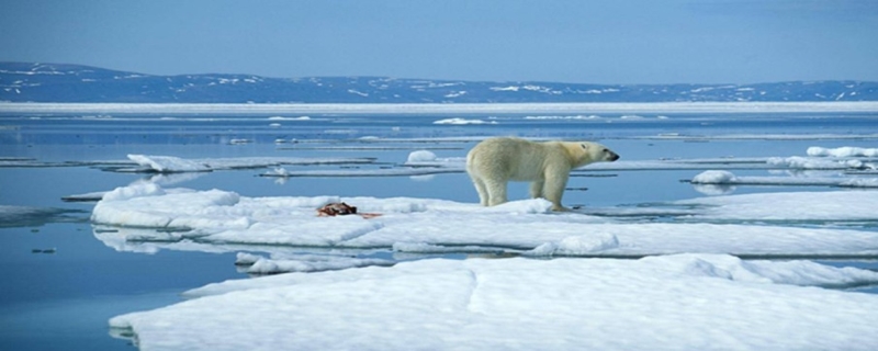 北极冰川融化对人类会造成什么影响,北极冰川融化会给地球带来灾难吗