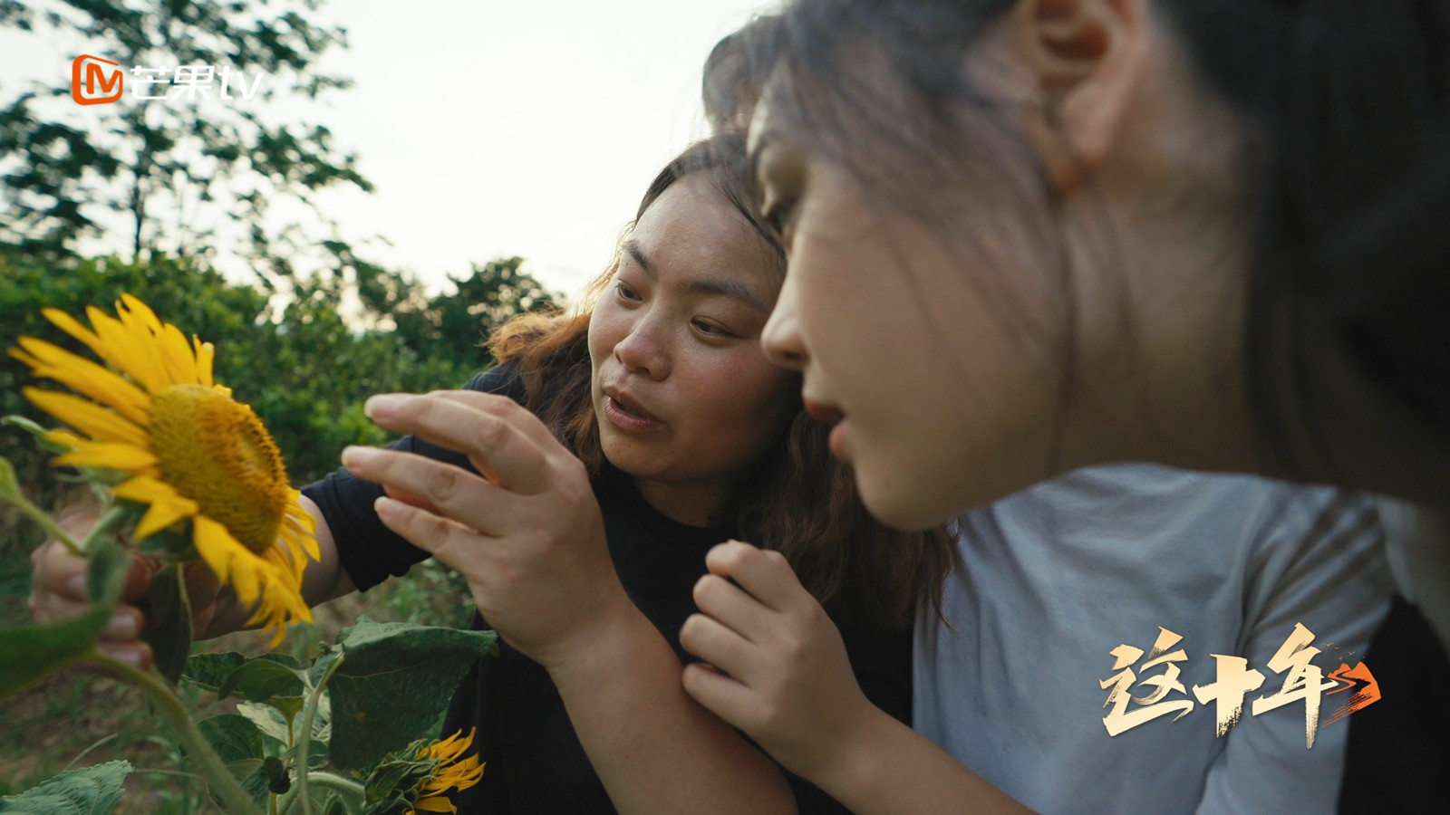 让美的种子扎根乡村，芒果TV微纪录片《这十年》讲述诗画乡村“造梦人”周燕的故事