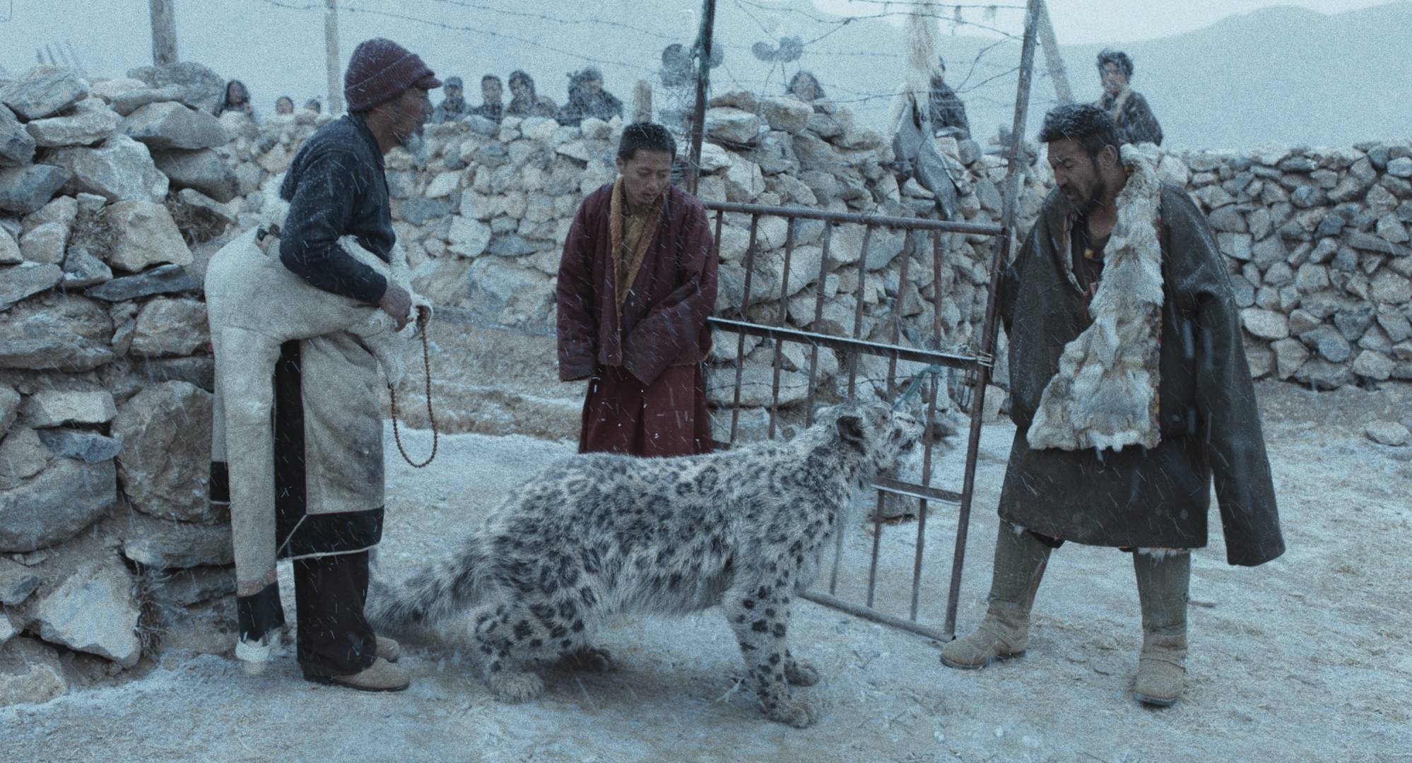 万玛才旦执导《雪豹》入围东京电影节主竞赛单元 讲述人与动物相处的故事