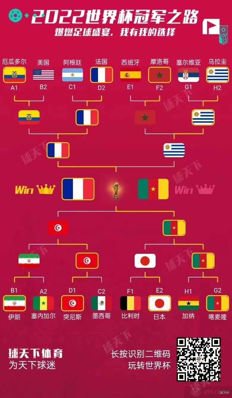 世界杯冠军预测生成图（图1）