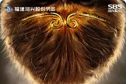 福建发布对阵同曦赛前海报：散发咒光