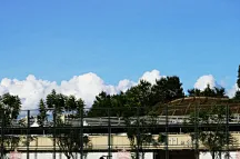 深足现状：佳兆业力不从心、深投控无心介入 看市政府态度