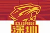 深圳队更新主场门票发售信息 今日12点三场A级赛事开售