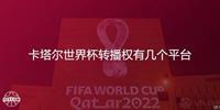 卡塔尔世界杯转播权有几个平台（2022世界杯中国转播权归谁）
