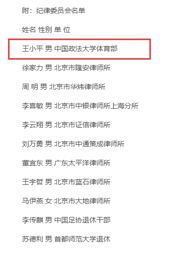王小平2009成为足协纪律委员会主任 当时身份是中国政法大学教授