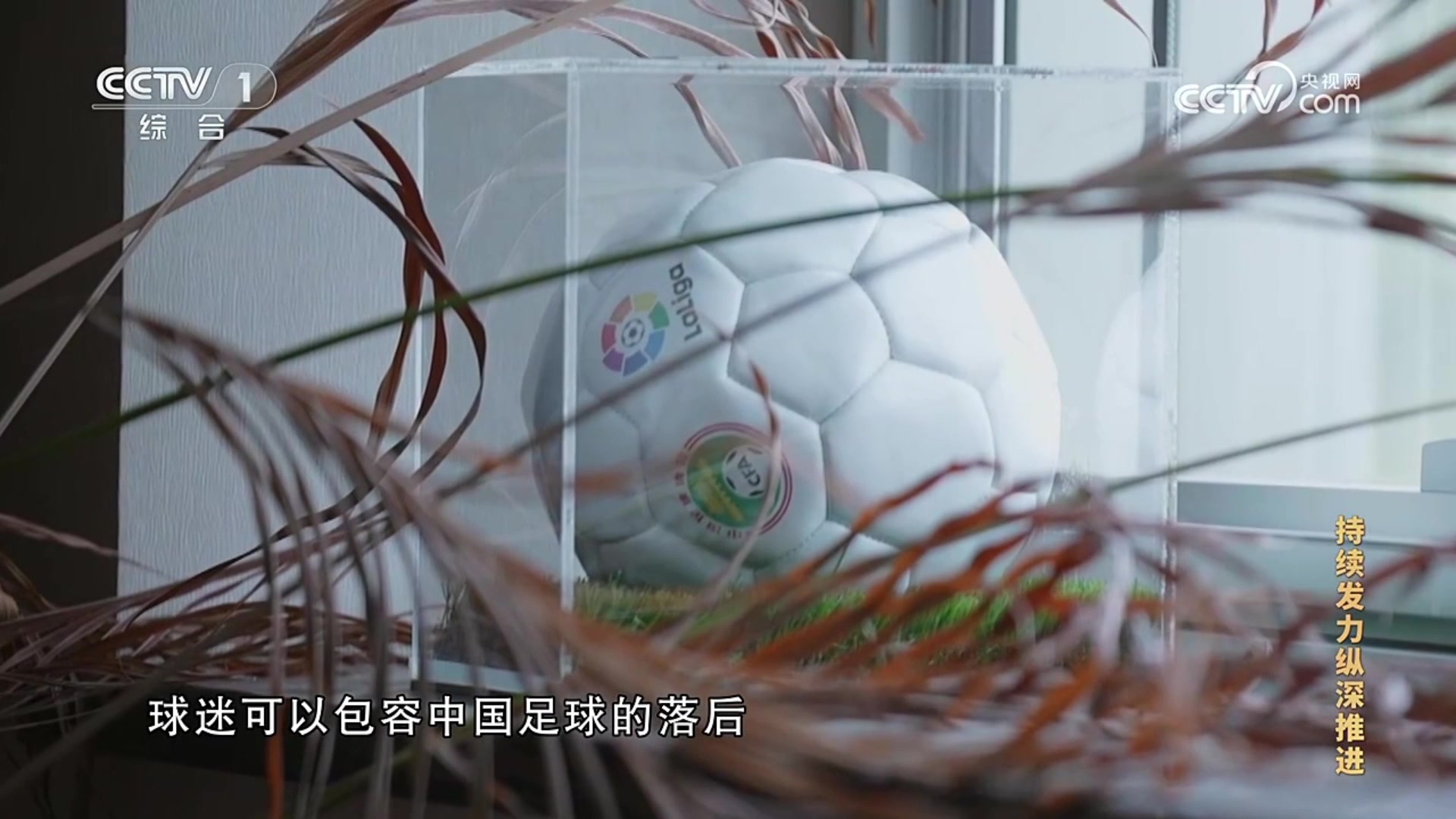 陈戌源供述：若有后悔药可以买，我愿意用我的生命把它买回来