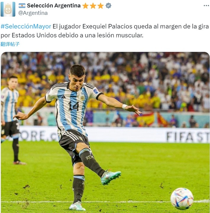 官方：阿根廷中场帕拉西奥斯因肌肉受伤退出国家队