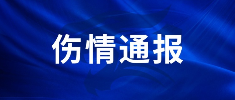 伤情通报：刘若钒、罗马里奥筋膜损伤，达尼洛肌肉水肿