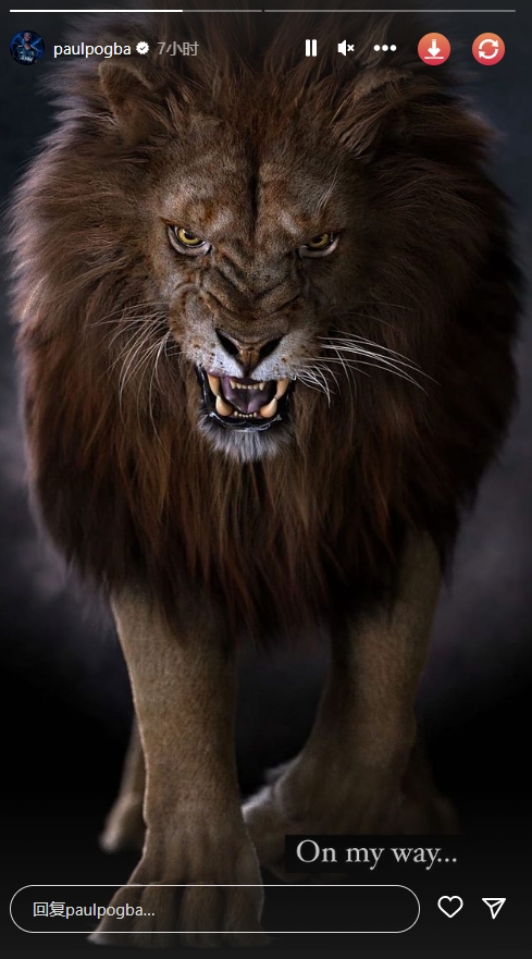 博格巴社媒发布凶猛雄狮图片：正在路上......